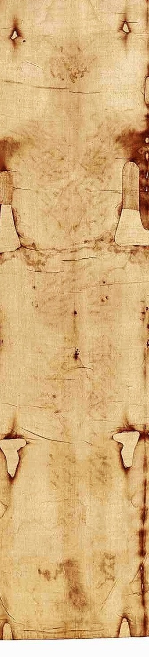 saint suaire de turin lien vers wikipedia